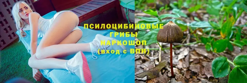 Псилоцибиновые грибы мухоморы  Калачинск 